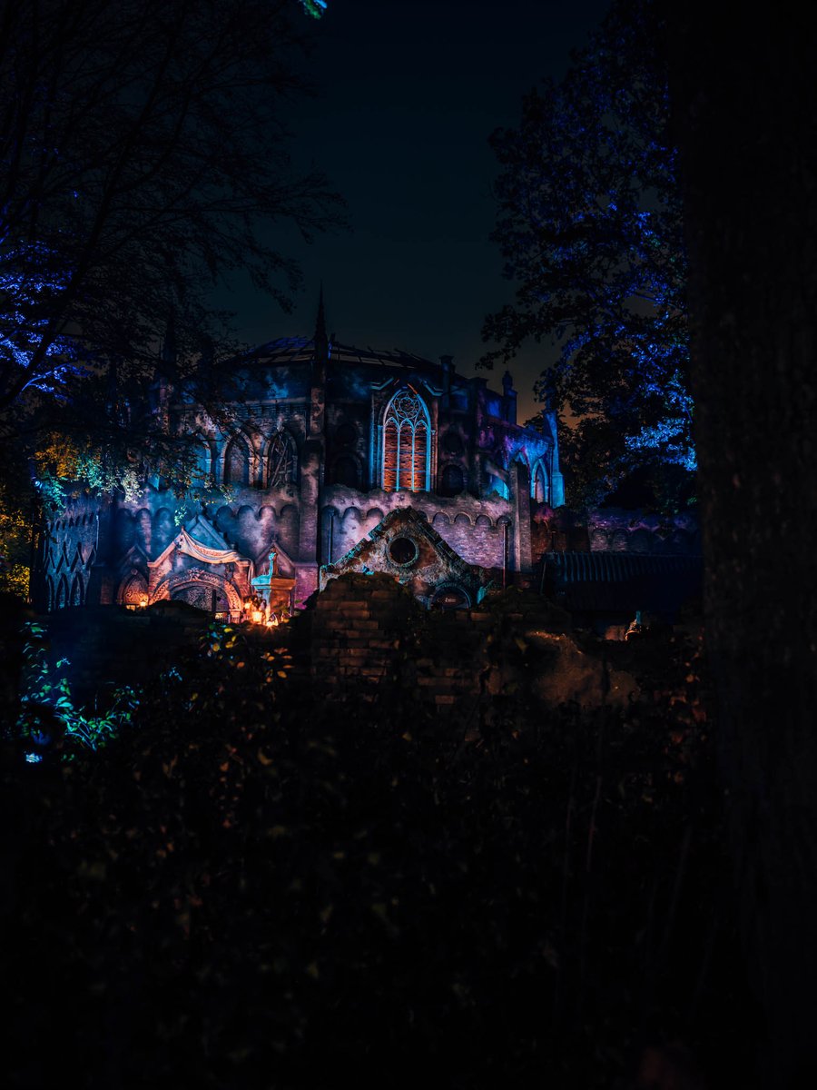 Kris From Belgium tweet media