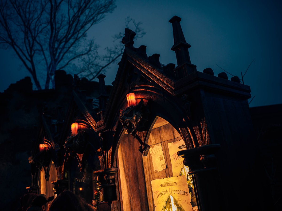 Kris From Belgium tweet media