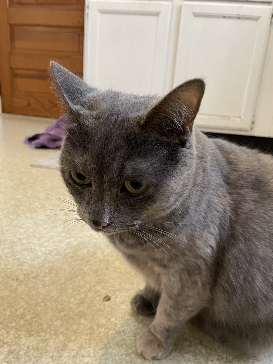 Happy #caturday!