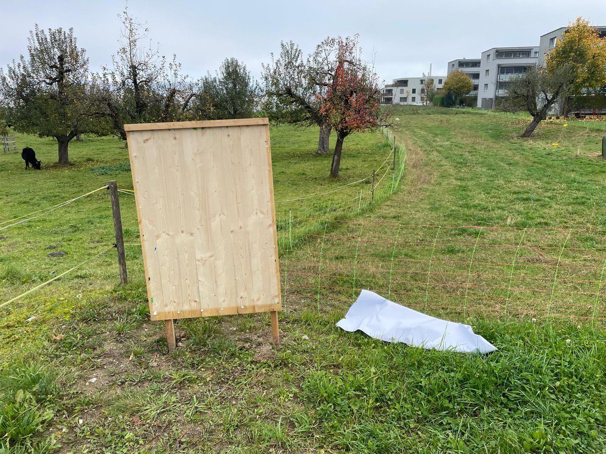 René Walker tweet media