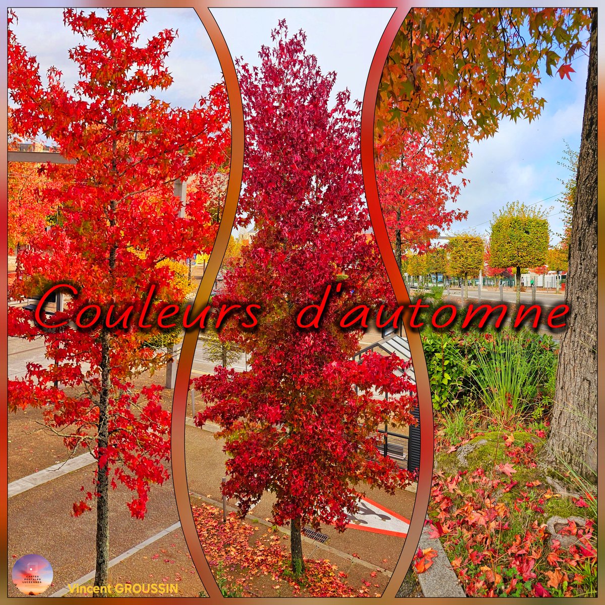 luceennes's tweet photo. Jolies couleurs d'automne 
#cartespostalesluceennes #createurdecartepostale #createurdecontenu #photographe #baladesympa #nature #photo #photography #photographie #reportage #naturephotography #naturephoto #naturephotographie #automne #autumn #autumnvibes #couleurs https://t.co/L1MbT1yvnr