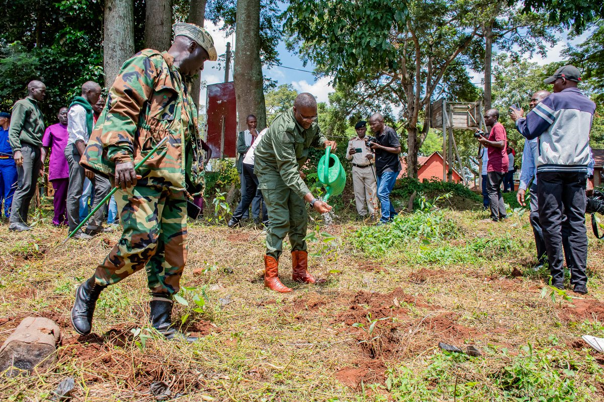 DCoS_KE's tweet photo. @DCoS_KE @EliudOwalo 
Today led his staff, NGAO, @KeForestService, &amp; @MASENO_SCHOOL fraternity in tree planting exercise held at Maseno School. https://t.co/JsDSxxuvlt