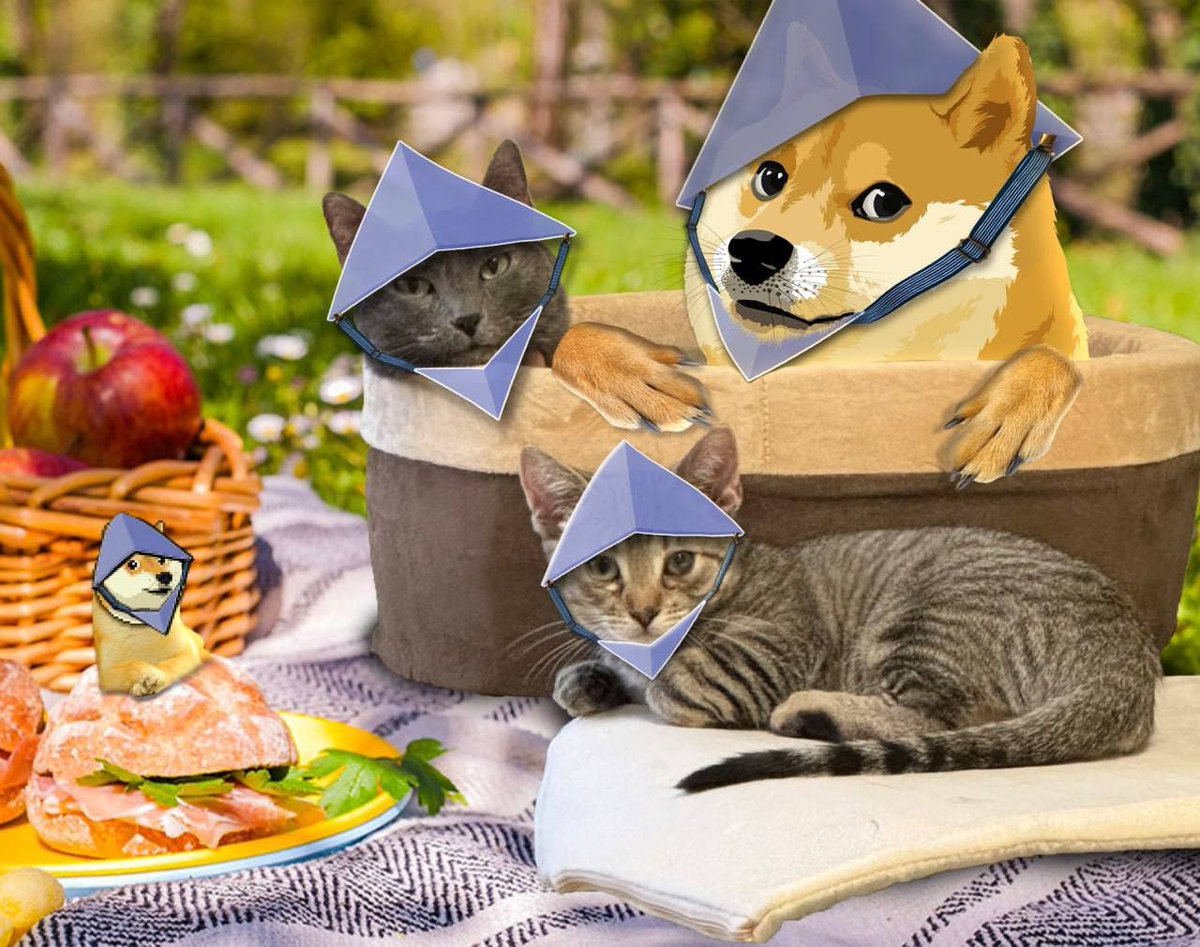 EtherDoge ($EDOGE) tweet media