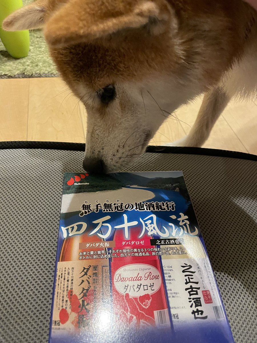 sena_kinran's tweet photo. 今日はこれを飲みながら討伐戦をします😊 https://t.co/uMT7TW48IO