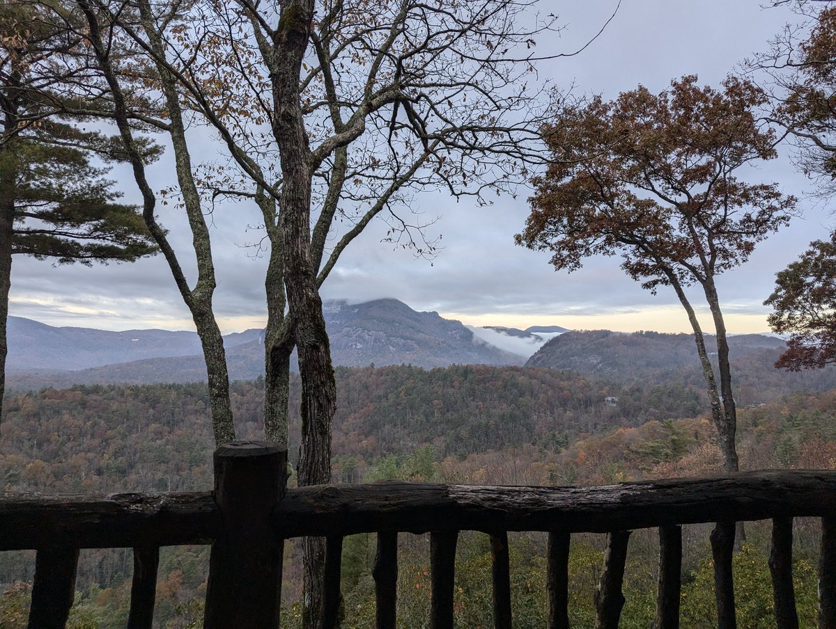 Unanchor tweet media