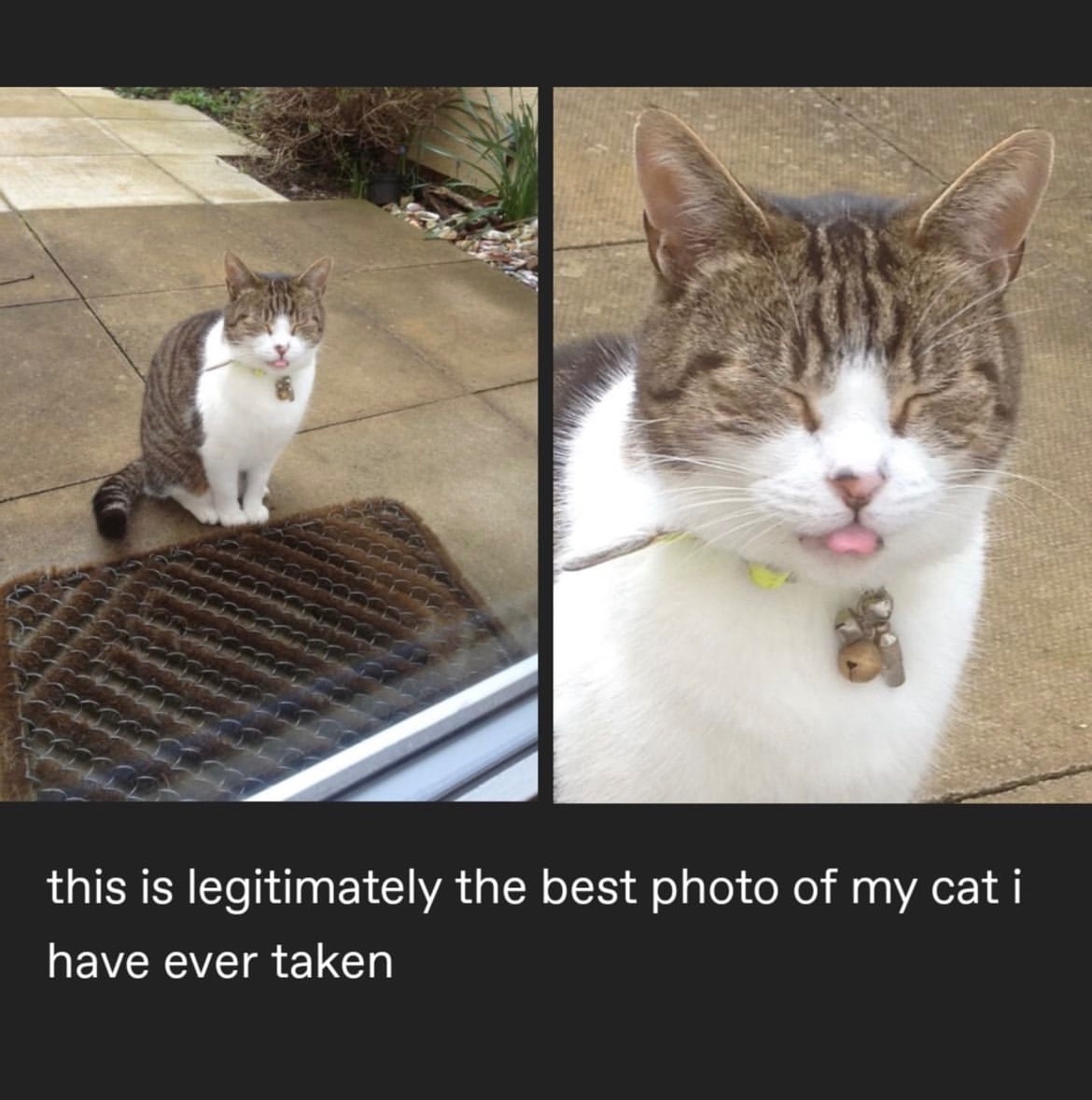 Respectful Memes tweet media