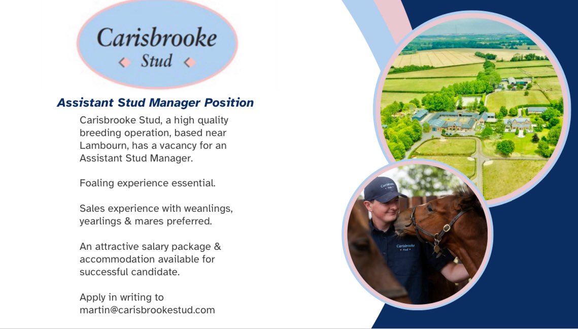 🚨JOB VACANCY ALERT🚨 
A chance to join the high quality team <a href="/CarisbrookeStud/">Carisbrooke Stud</a>