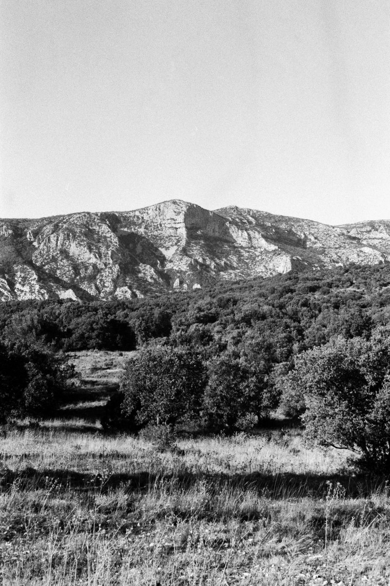 33. Novembre (2023)

On continue !
Une pellicule, deux paysages
#31themesAnalogChallenge