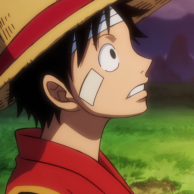 Hourly luffy tweet media