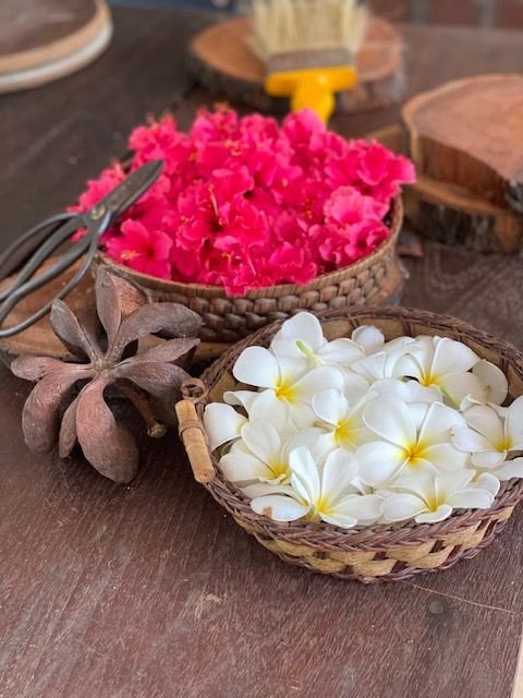 SinghUrvarshi's tweet photo. 🥀दिल में संतुष्टि रखो
लोग तो महलों में भी रो रहे हैं 🥀
#शुभ__रात्रि_टूवीट_परिवार 🌹❤️🙏🏻
#Good___night 🥀🌼☕🥪 https://t.co/RuI5thkOew