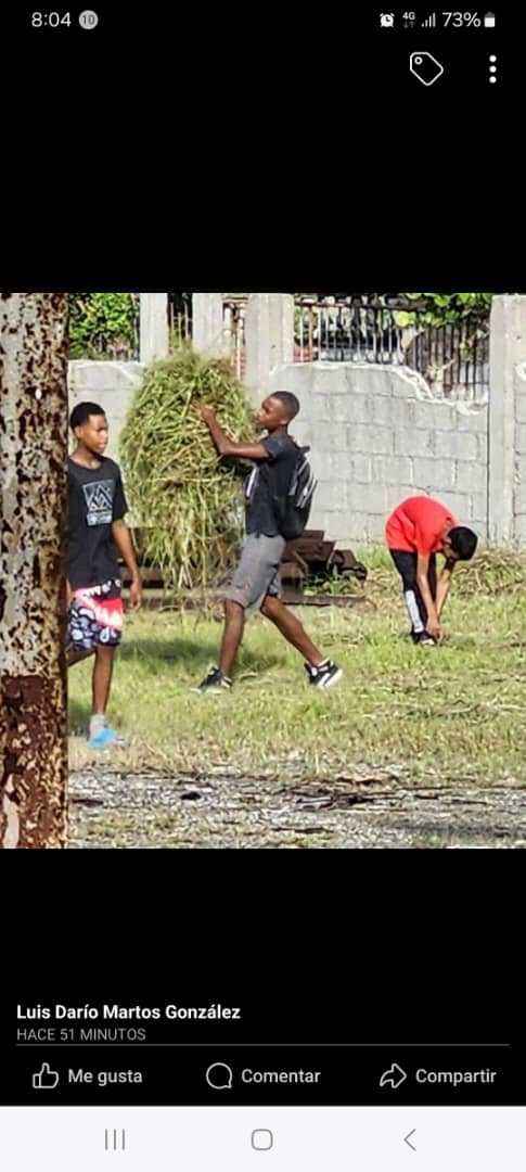Reconoce Proyecto Granjita Feliz  la labor desempeñada por los estudiantes de las instituciones Jesús Lancha y Víctor Muñoz en la etapa al campo #LaHabanaViveEnMí <a href="/gobhabana/">Gobierno La Habana</a> <a href="/DirectEducaHab/">Karenia Marrero Arrechea</a> <a href="/IzquierdoAlons1/">Livan Izquierdo Alonso</a> <a href="/btan0987/">Naima Ariatne Trujillo</a> <a href="/Comunicaci83741/">Dirección General De Educación Guanabacoa</a> @Tecedu