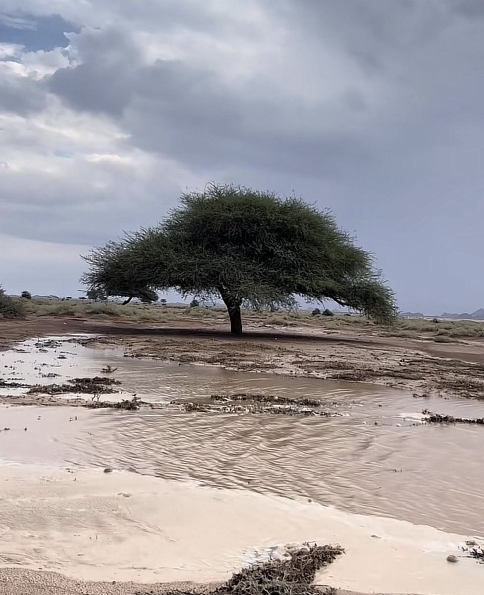 #كلام_من_القلب 

اللهم إننا لا نعلمُ 
ما تحمله الأيامُ في 
بطون الغيب لنا ولكننا 
نُؤمن بأنك أنتَ 
السميع العليم القدير 
الكريم، فاجعل ما سيأتي 
خيرًا مما قد أتى
وما سنستقبله من الأيام 
أسعد مما قد مضى!

اللهُم عُمرًا يرضيك عنَّا
وراحةً تملأ قلوبنا يارب '

#مساء_الخير_والسعادة