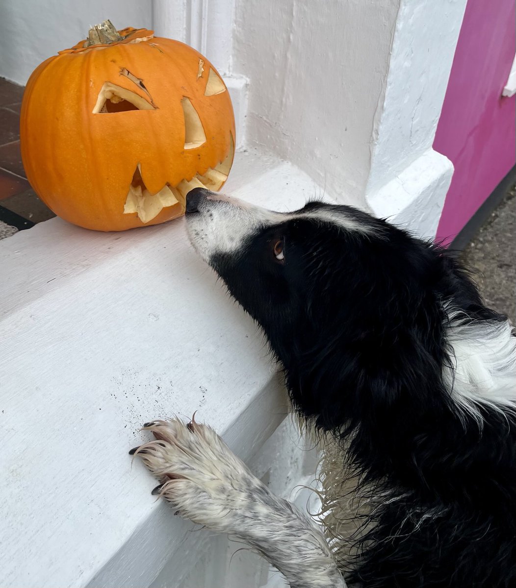 What is this weirdness? 🤣