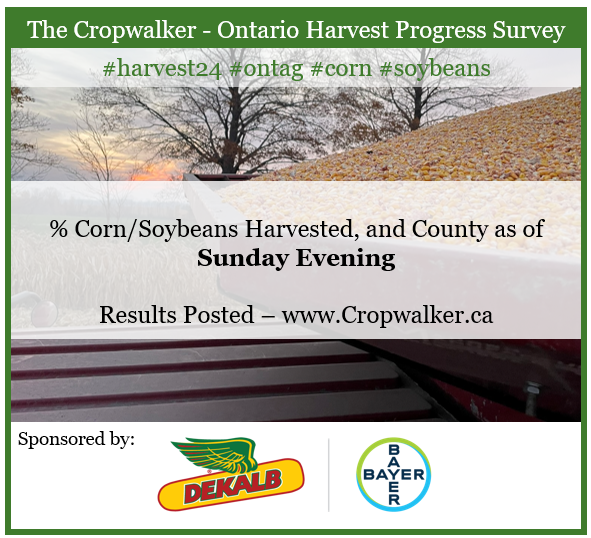 2024 Cropwalker Harvest Progress Survey –
Corn, baby!
With the tarp let back and the sunshine shinin'
Corn, baby!
Harvest chillin' with the combing whining

Please post percentage of corn and soybean harvested and county below. Cab corn pics also accepted. 

Harvest maps posted
