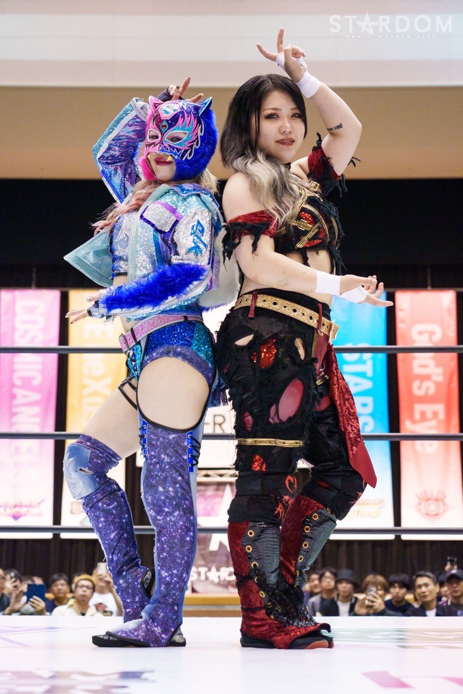 スターダム💙スターライト・キッド🐯🤍 on X: スターダム💙スターライト・キッド🐯🤍 on X: