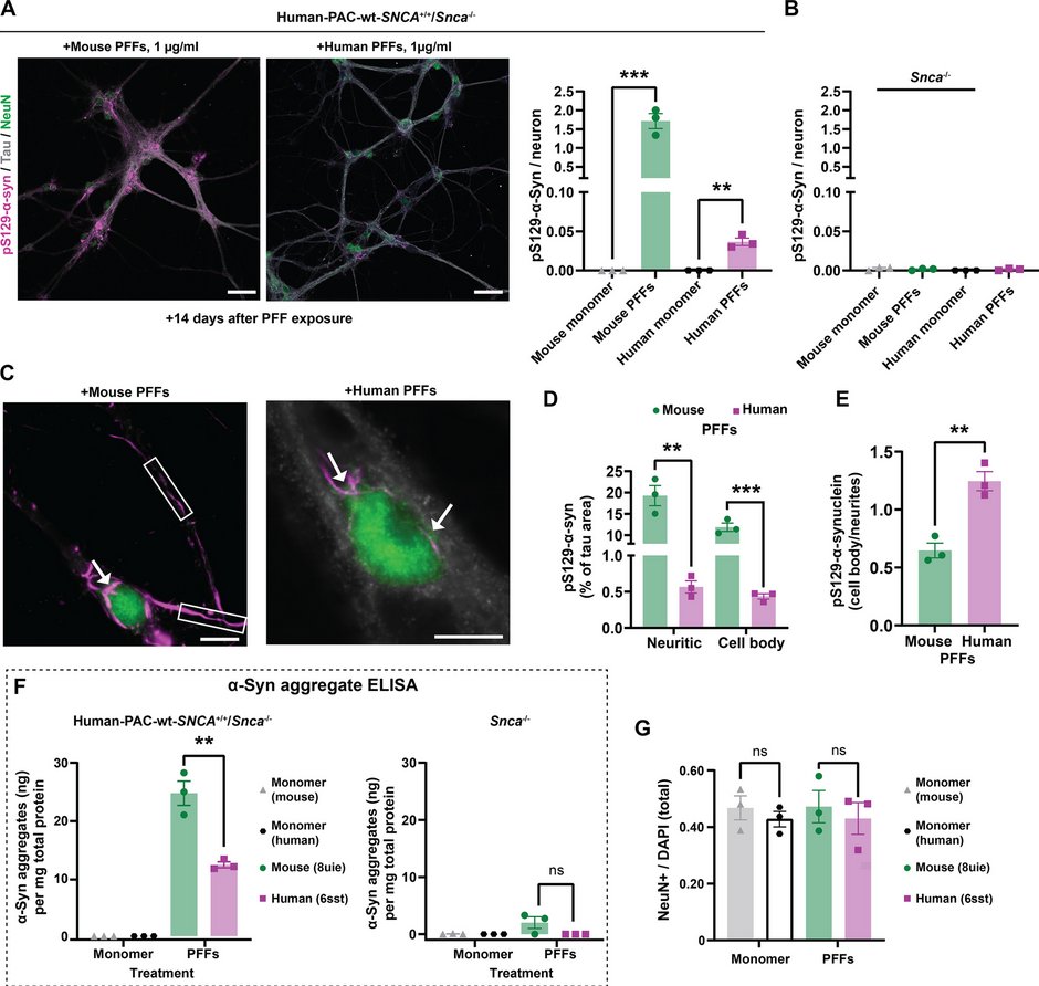 The Science of Parkinson's tweet media