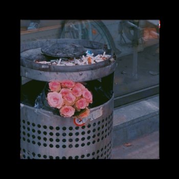 ᅠ 
ᅠ

ᅠ
       - In the end, we are but fragments left behind. Love becomes a scar hidden beneath the skin and memories are kept like fragile secrets, haunting and heavy. Nothing stays; we drift away like shadows, leaving only aching beauty where we once belonged
ᅠ

ᅠ
ᅠ