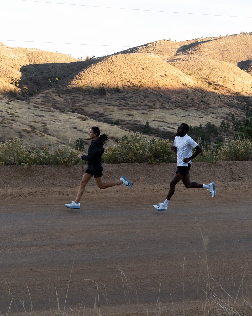 Mount to Coast tweet media