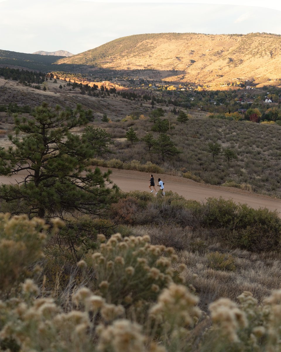 Mount to Coast tweet media