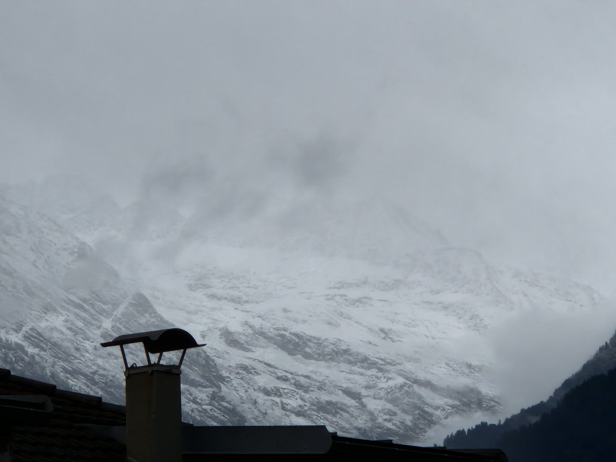 iirpo's tweet image. #citando il #2novembre
C'è qualcosa di più forte della morte ed è la presenza degli assenti nella memoria dei vivi
#ValériePerrin