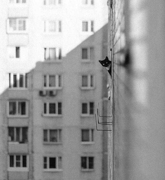 15. Hi Neighbour 😂