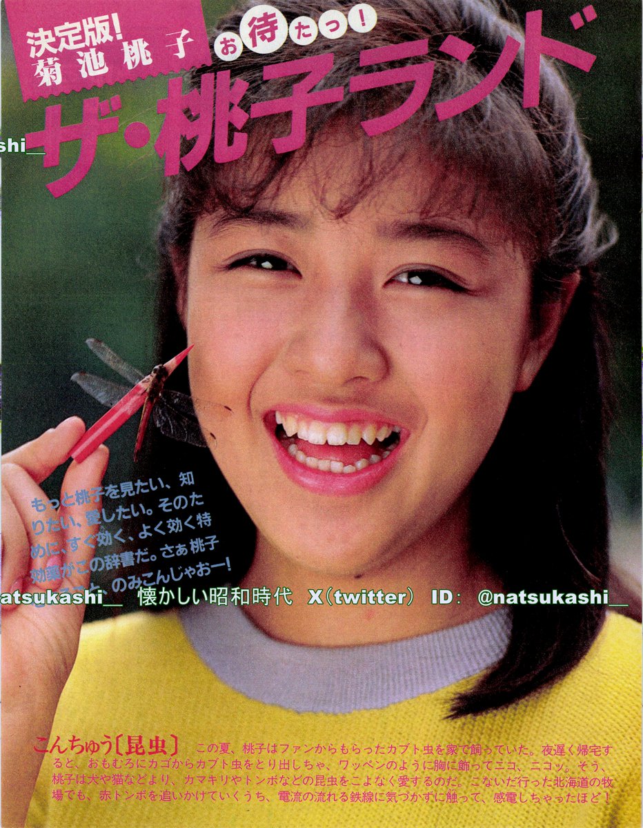 伝説の最終回 アニメ ドラマ 自動車広告 昭和アイドル総選挙 菊池桃子