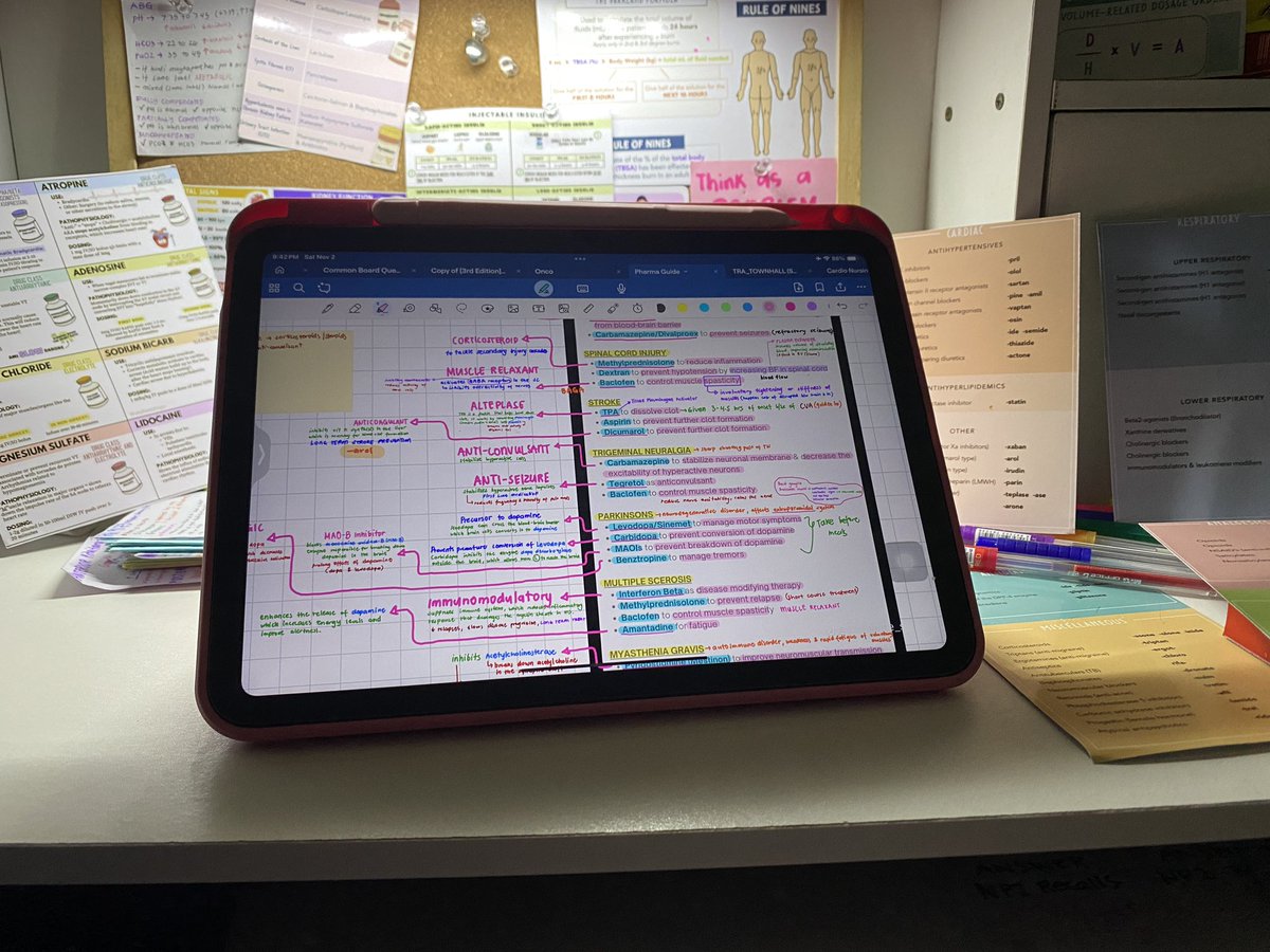 sae | working girlie era tweet media