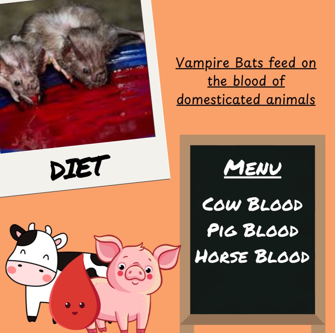 Becton Environmental Club tweet media