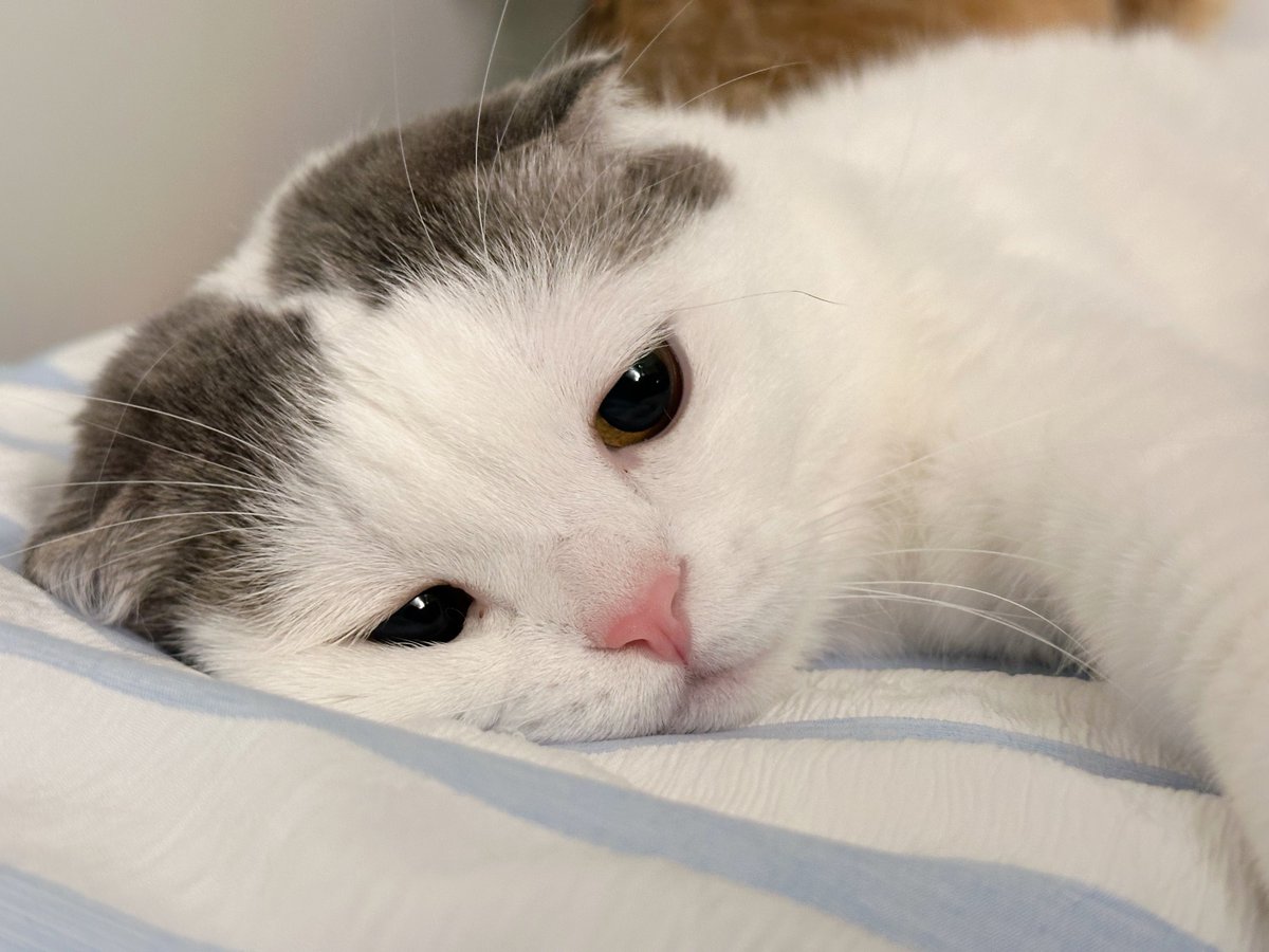 ท้อแท้รัยคับอ้วม