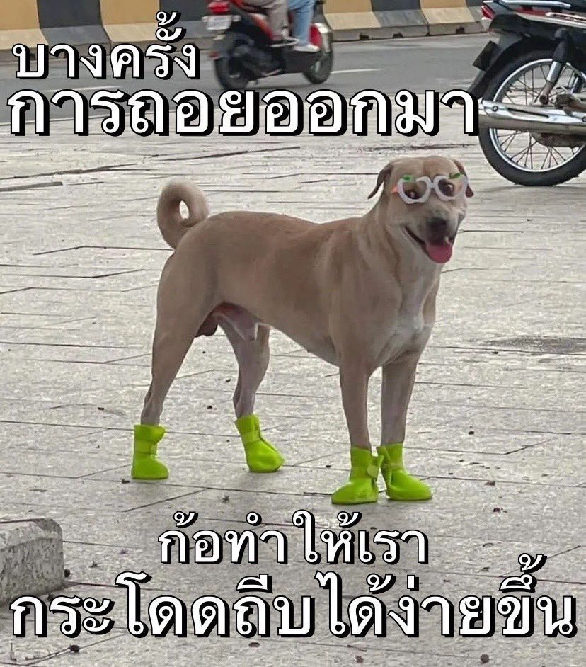 sfkkfs_'s tweet image. ถอยเพราะไม่สู้ ❌ ถอยเพราะตั้งหลัง ✅