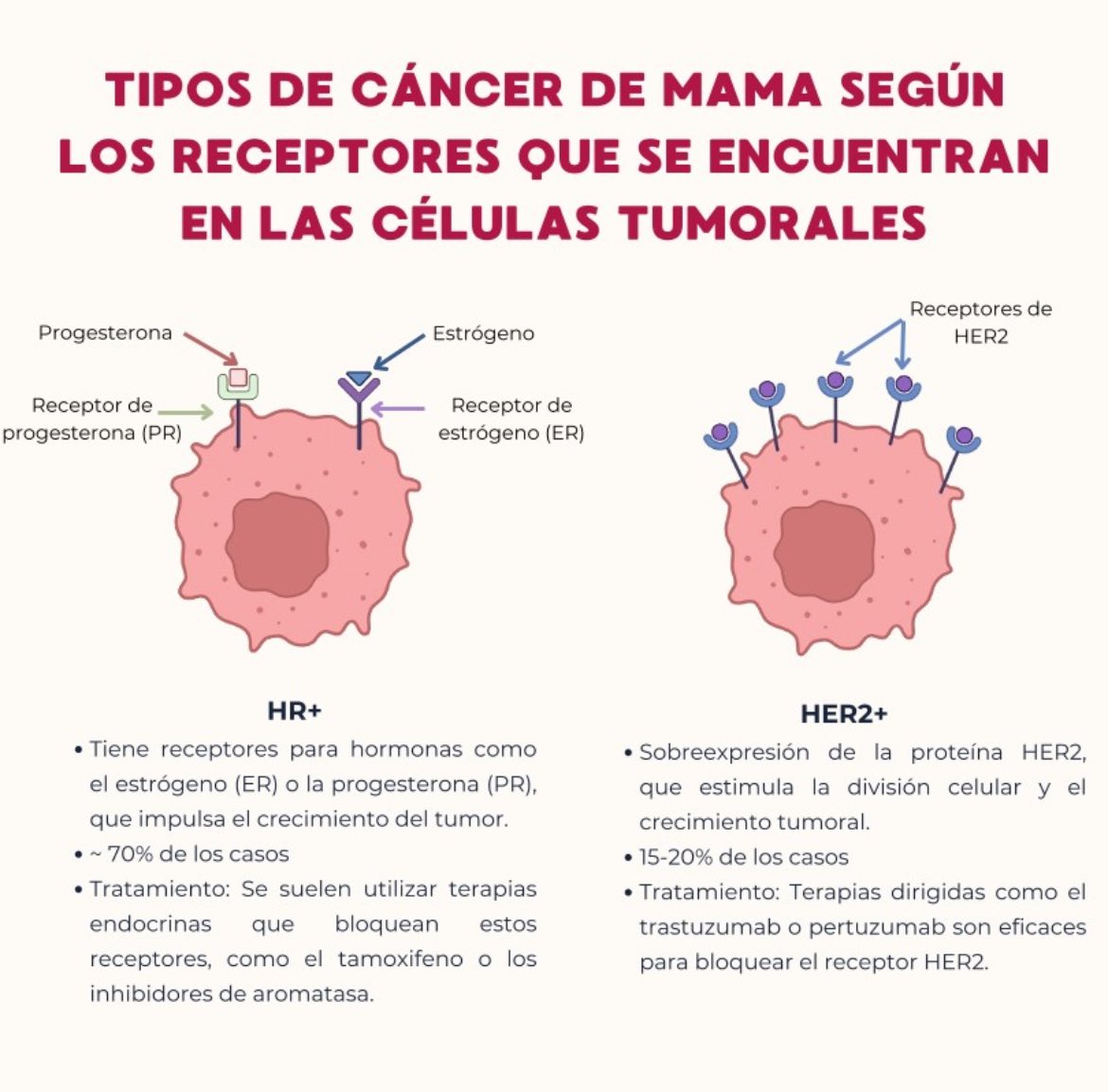 AVANCE FRENTE A CÁNCER DE MAMÁ 

El ensayo clínico de fase 3 𝗗𝗘𝗦𝗧𝗜𝗡𝗬-𝟬𝟲 ha demostrado que el anticuerpo conjugado 𝘁𝗿𝗮𝘀𝘁𝘂𝘇𝘂𝗺𝗮𝗯 𝗱𝗲𝗿𝘂𝘅𝘁𝗲𝗰𝗮𝗻 (𝗧-𝗗𝗫𝗱) mejora significativamente la supervivencia libre de progresión.
📸Antia Domínguez
