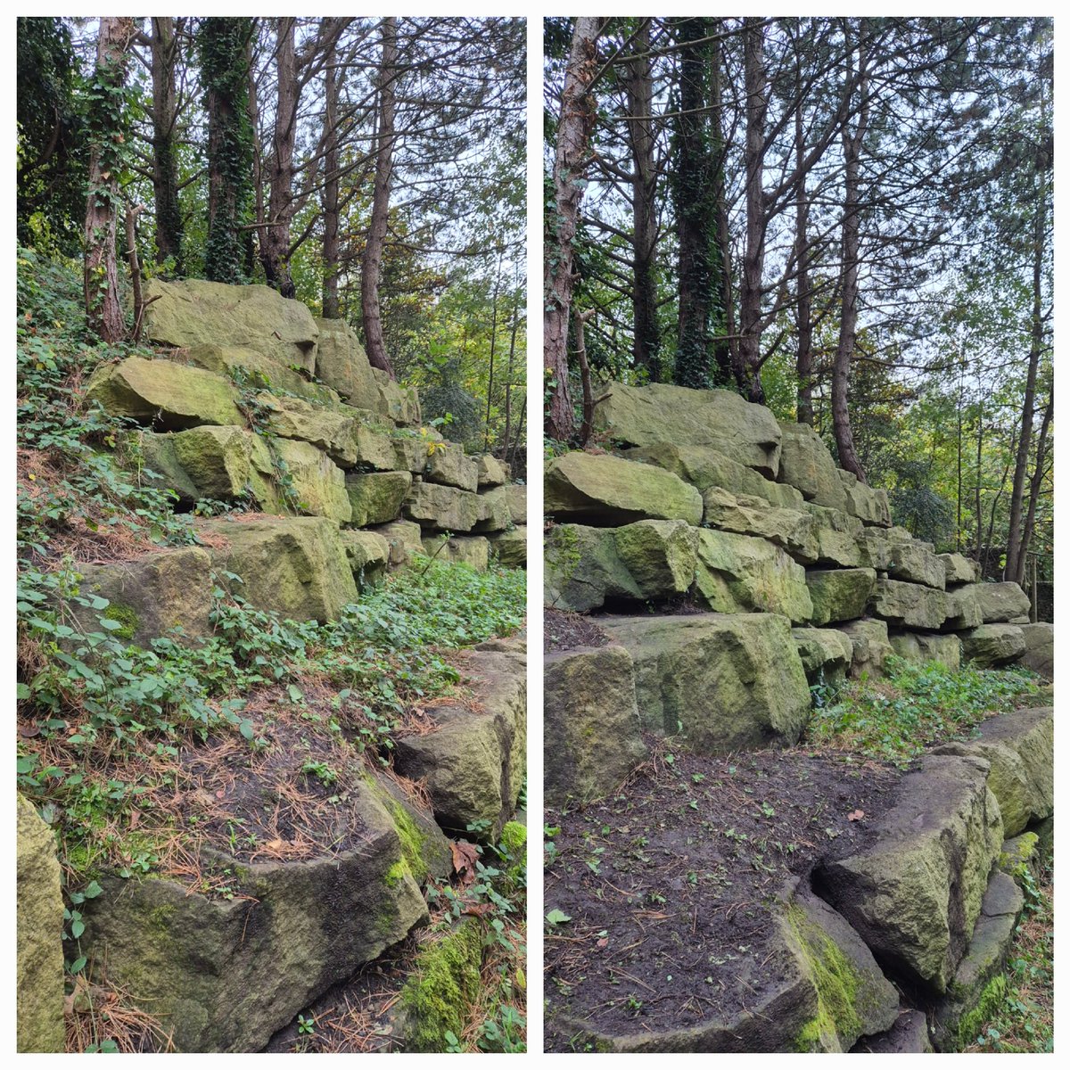 Friends of Festival Gardens (@festivalgardns) on Twitter photo Busy morning in the gardens today!
We cleared weeds from around the Japanese garden and worked on the rocks that Penny had started earlier in the week!
Kate also continued planting in the Japanese garden. 🌿
#festivalgardens #volunteer #japanesegarden <a href="/lpool_LSSL/">Liverpool Streetscene Services Ltd</a> <a href="/lpoolcouncil/">Liverpool City Council</a> Busy morning in the gardens today!
We cleared weeds from around the Japanese garden and worked on the rocks that Penny had started earlier in the week!
Kate also continued planting in the Japanese garden. 🌿
#festivalgardens #volunteer #japanesegarden <a href="/lpool_LSSL/">Liverpool Streetscene Services Ltd</a> <a href="/lpoolcouncil/">Liverpool City Council</a>