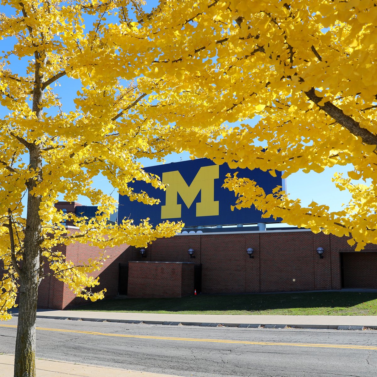 michiganalumni's tweet image. An autumn canvas of maize and blue sets the stage for another game day in Ann Arbor!

#GoBlue | #BeatOregon