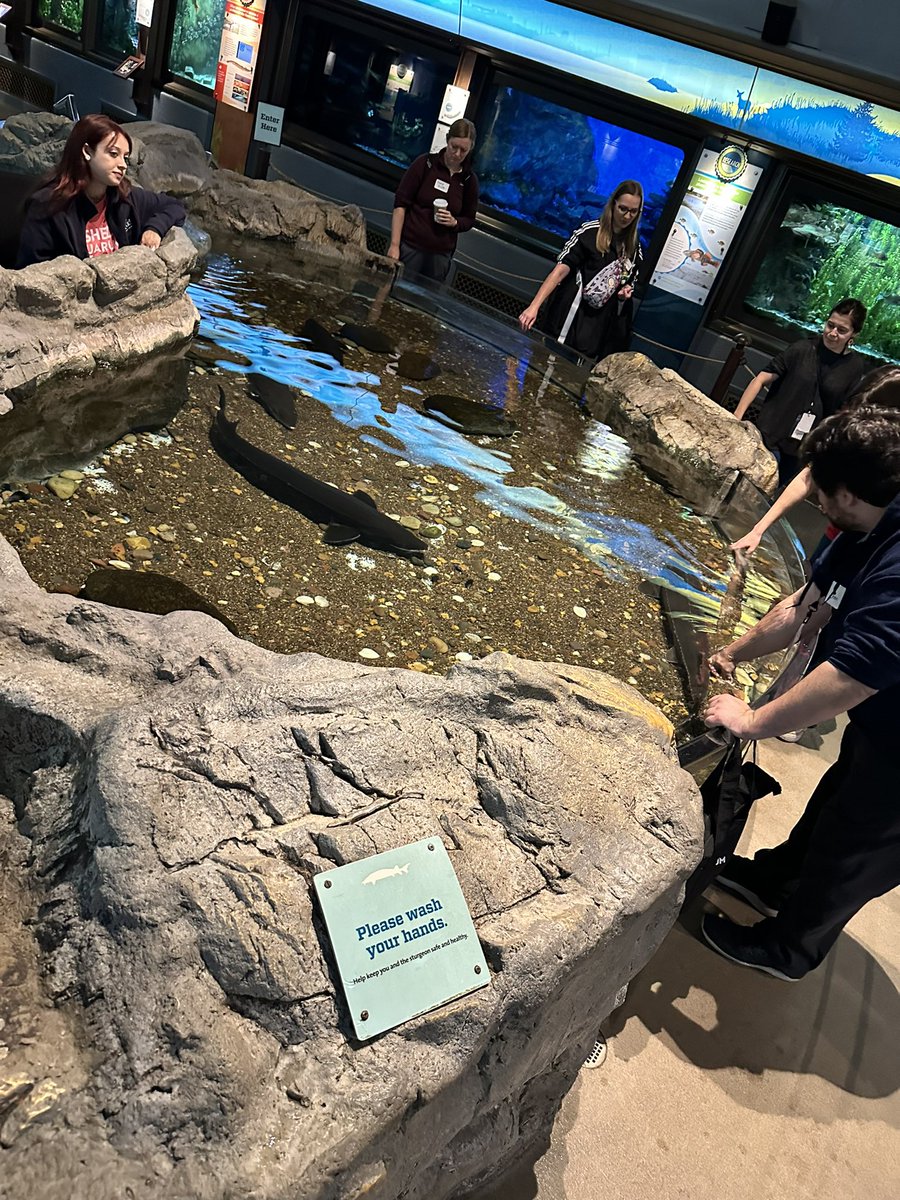 Sarah Enger tweet media