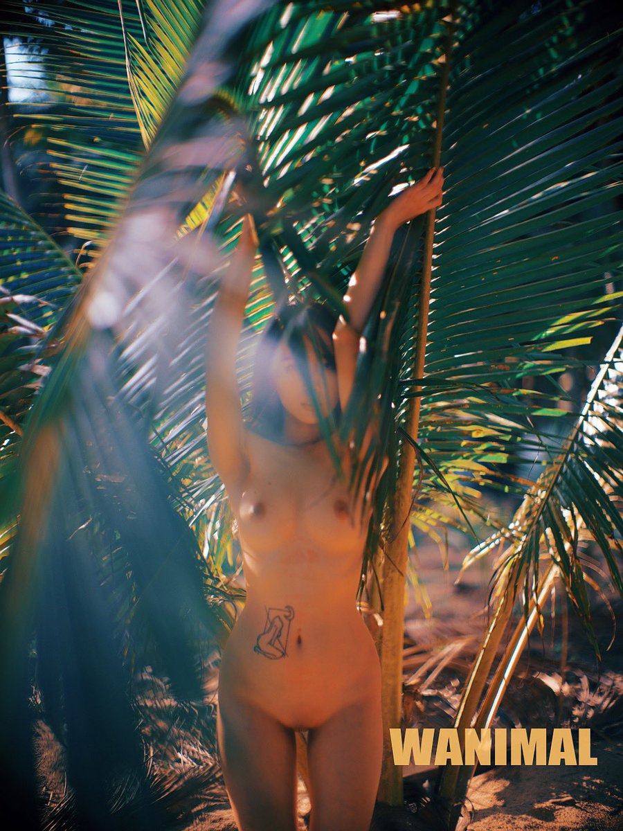 🌴

@haiyangself1 https://t.co/ahms8t3NWl