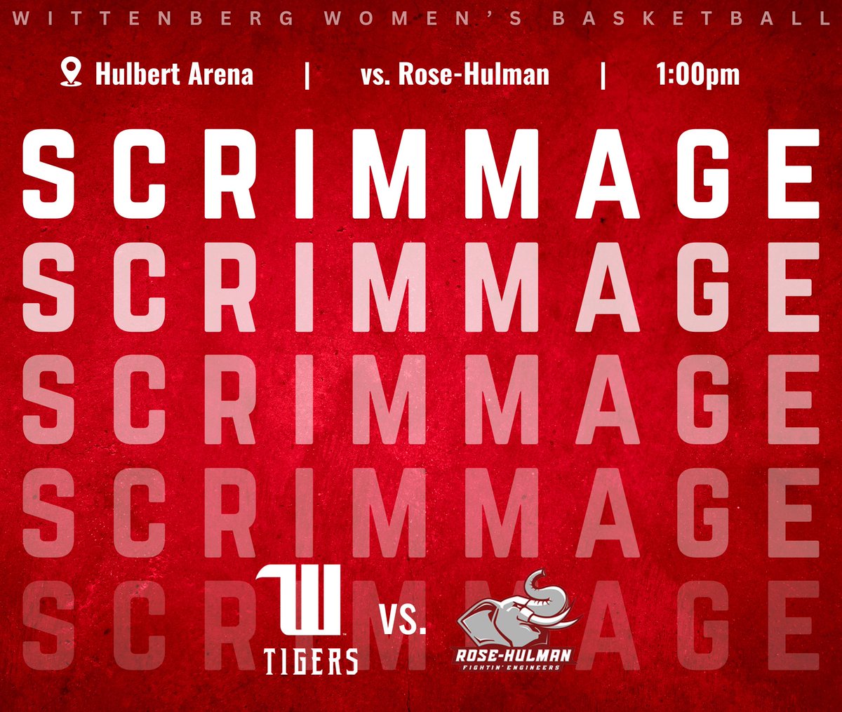 Witt Women's Basketball tweet media