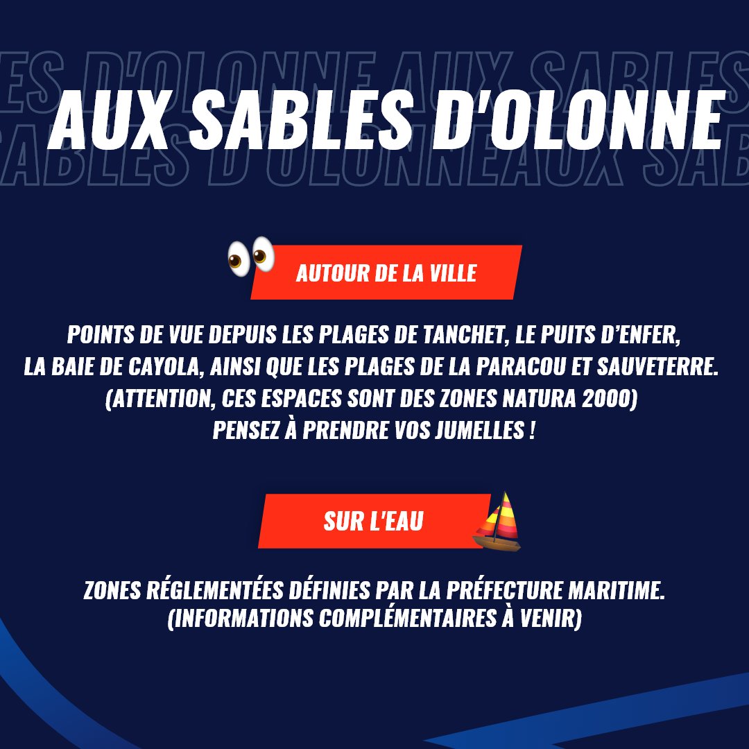 Comment suivre le départ du Vendée Globe ? 📣

Depuis chez soi, à terre aux Sables d’Olonne, ou même en mer, voici toutes les infos pour vivre au mieux ce départ unique ! 🚤

Retrouvez, ci-dessous,  les détails pour admirer les 40 bateaux quitter le ponton, suivre leur passage