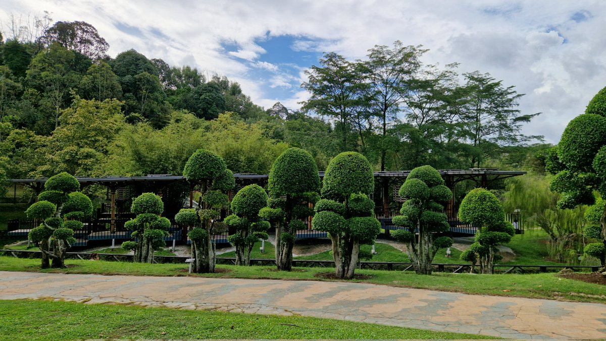 StefanB21m's tweet photo. Kuala Lumpur, Malaysia 🇲🇾 Perdana Botanical Garden

#malaysia #kualalumpur #botanic #river #palms #holiday #flowers #malay #traveltheworld #travelphotography #travel  #holidays #asia #asian #asiancountry #beautiful #beautifuldestinations #garden #park #riverside #southeastasia https://t.co/cSitoWM1aK