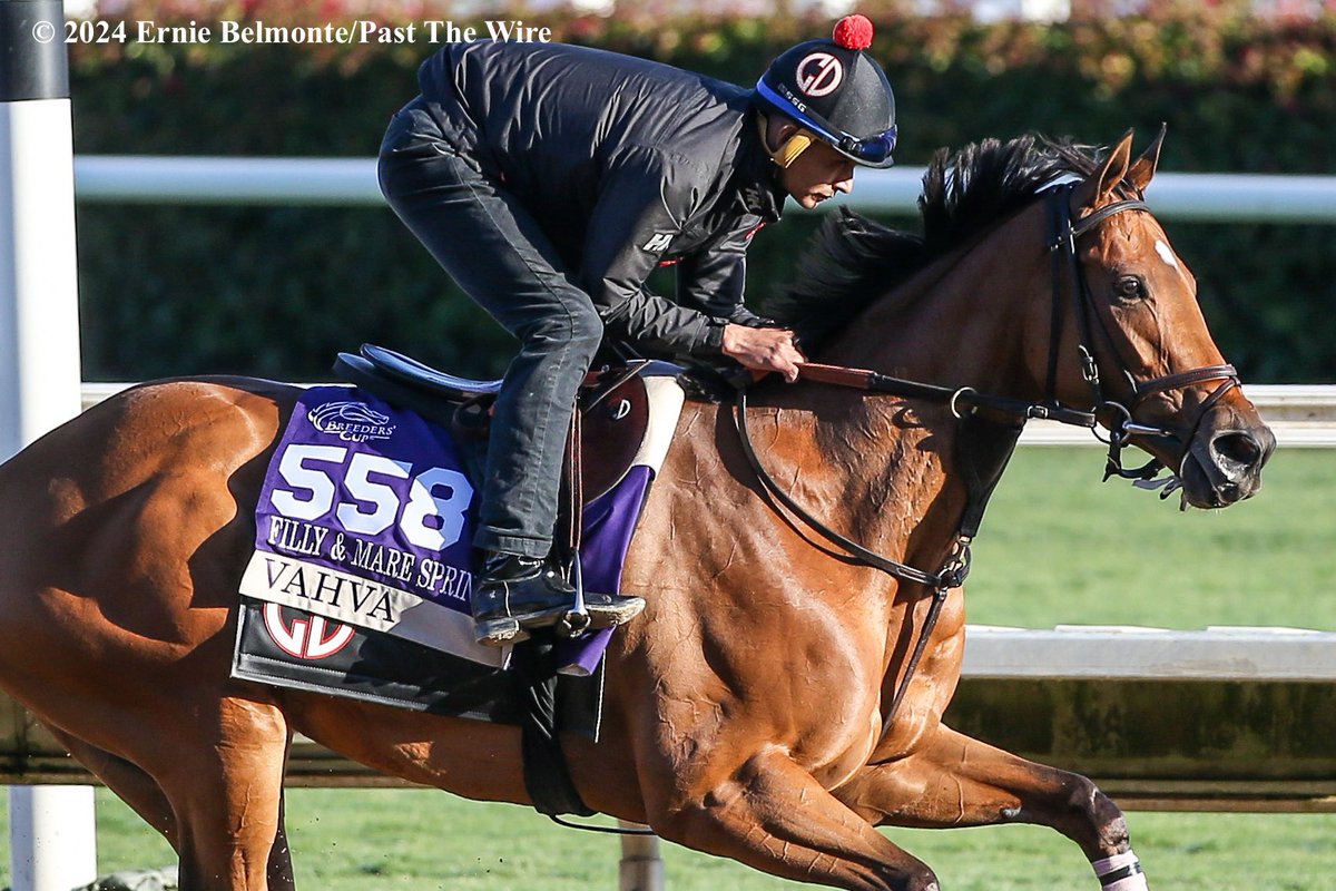 jeff lifson tweet media