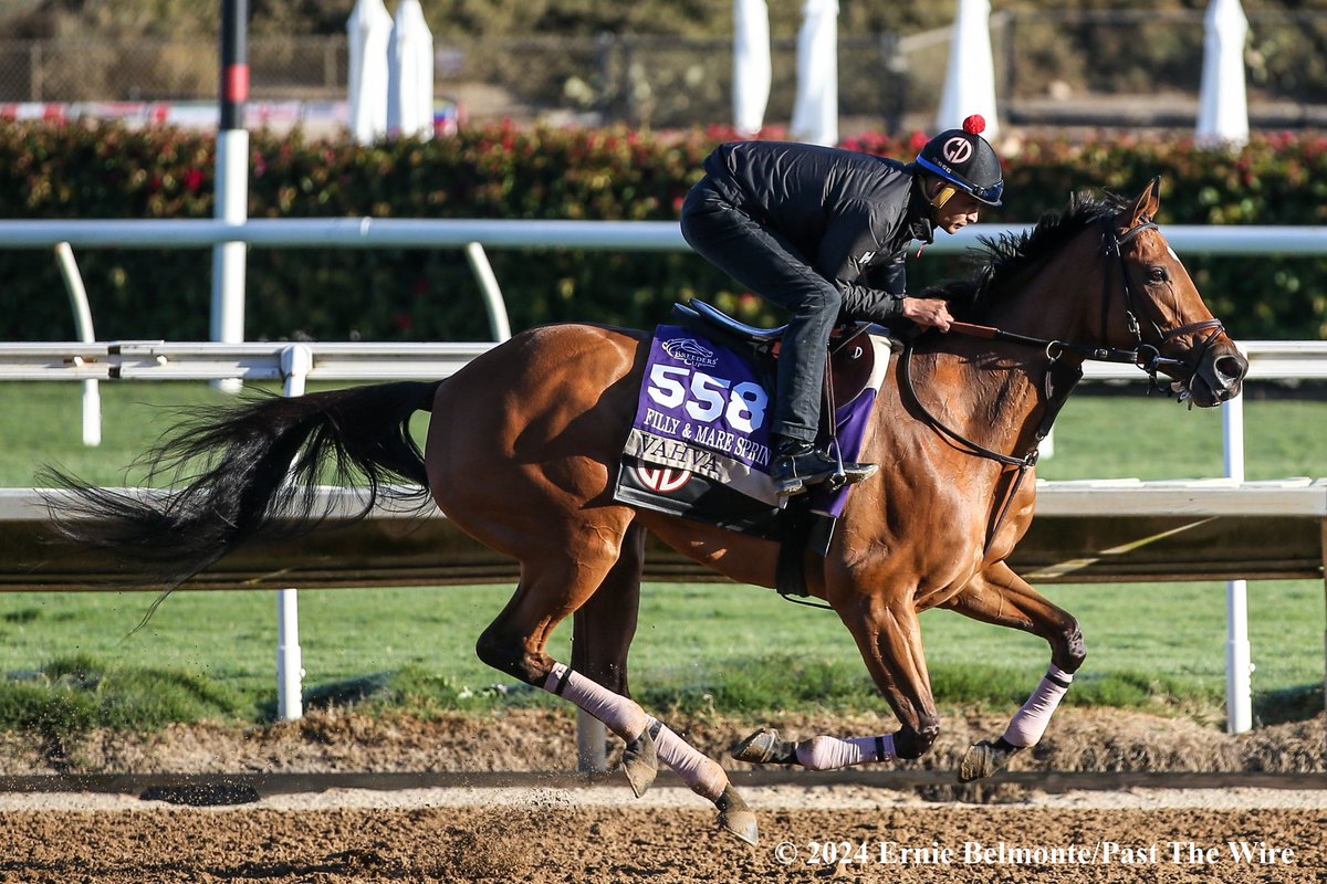 jeff lifson tweet media