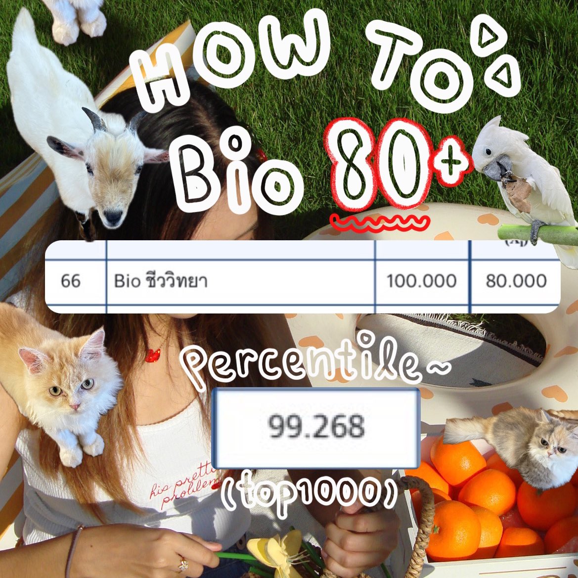 _Neodymiumx's tweet image. เธรดฮาวทูชีวะ 80+ 🤍🫡 มาแน้วค้าบบบบ อ่านเล่มไหนบ้าง? เรียนไหนบ้างมั้ย? คอนเท้นท์ที่หลายคนรอคอย🥹🥹 ขอโทษที่มาช้าและไม่เก่งกราฟฟิคนะคะ🥲 แต่เต็มที่แล้วจีงๆ5555🥹😭🙇🏻‍♀️ (ปล.นิสนึง ทั้งหมดนี้เราอิงจากตัวเองนะค้าา)