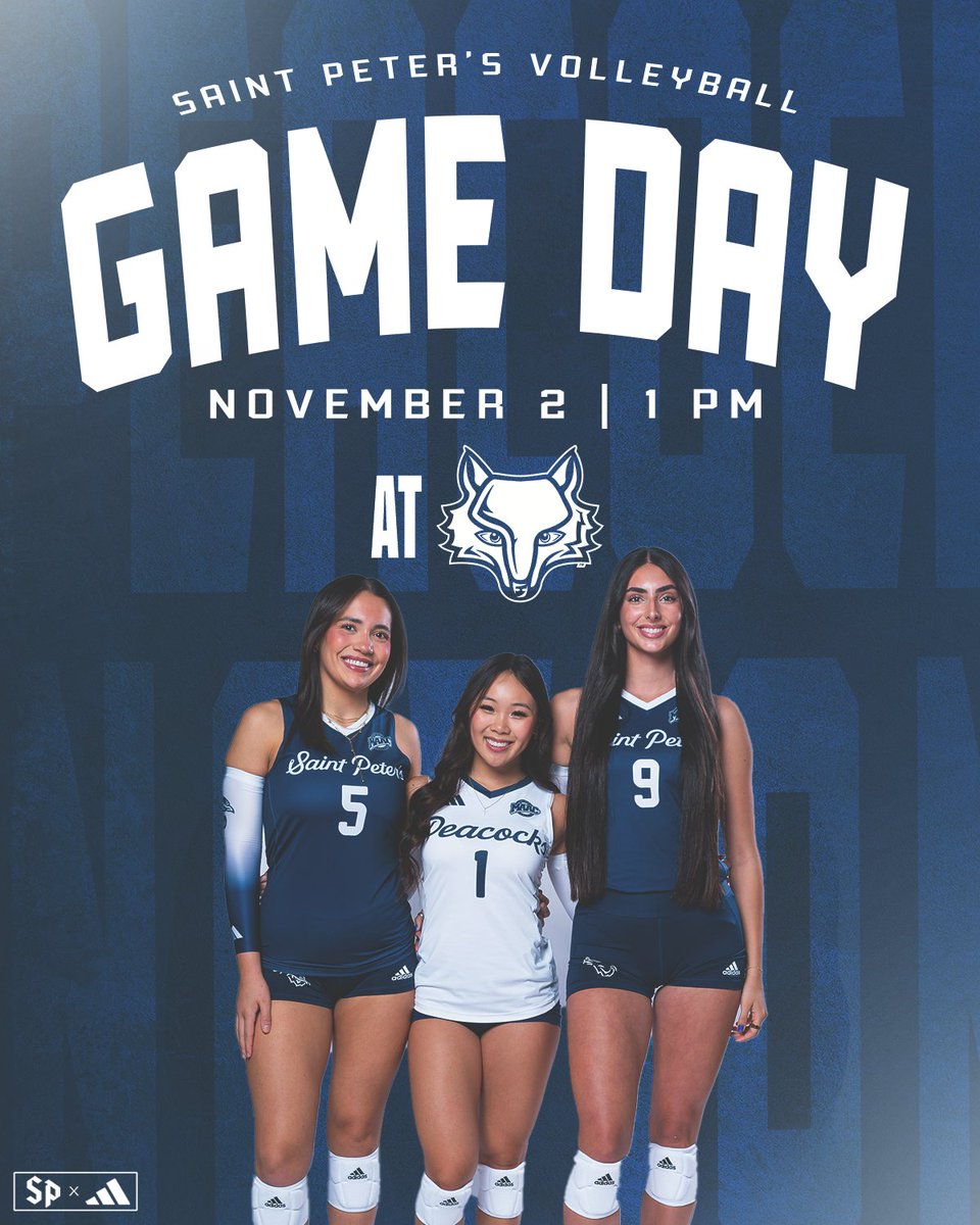 PeacocksVB's tweet image. 𝙲𝚊𝚕𝚖 𝙱𝚎𝚏𝚘𝚛𝚎 𝚝𝚑𝚎 𝚂𝚌𝚘𝚛𝚎🤫🏐
@ Marist College
📍Poughkeepsie, NY
⏰1 PM
🏟️McCann Arena
📊goredfoxes.com/sidearmstats/w…
📺espn.com/espnplus/playe…

#StrutUp🦚
#ConferencePlay