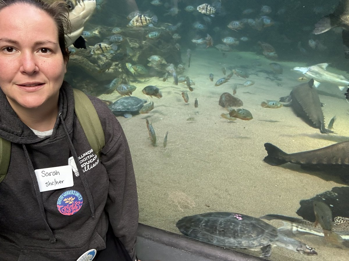 Sarah Enger tweet media