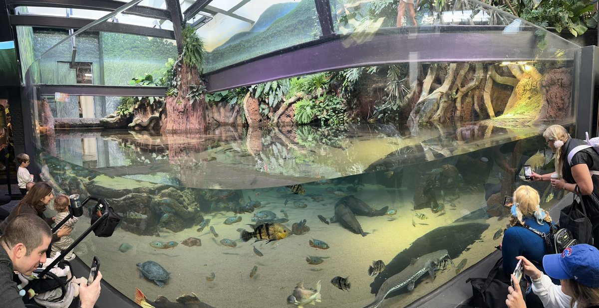 Sarah Enger tweet media