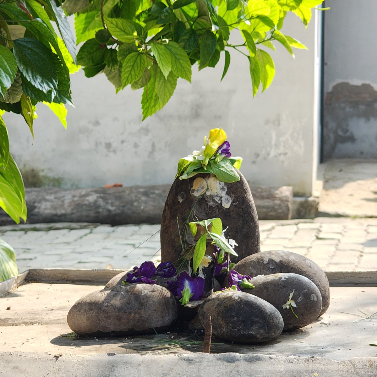 मैने क्लिक की है...कैसी लगी आपको?
हर हर महादेव 🙌🙏