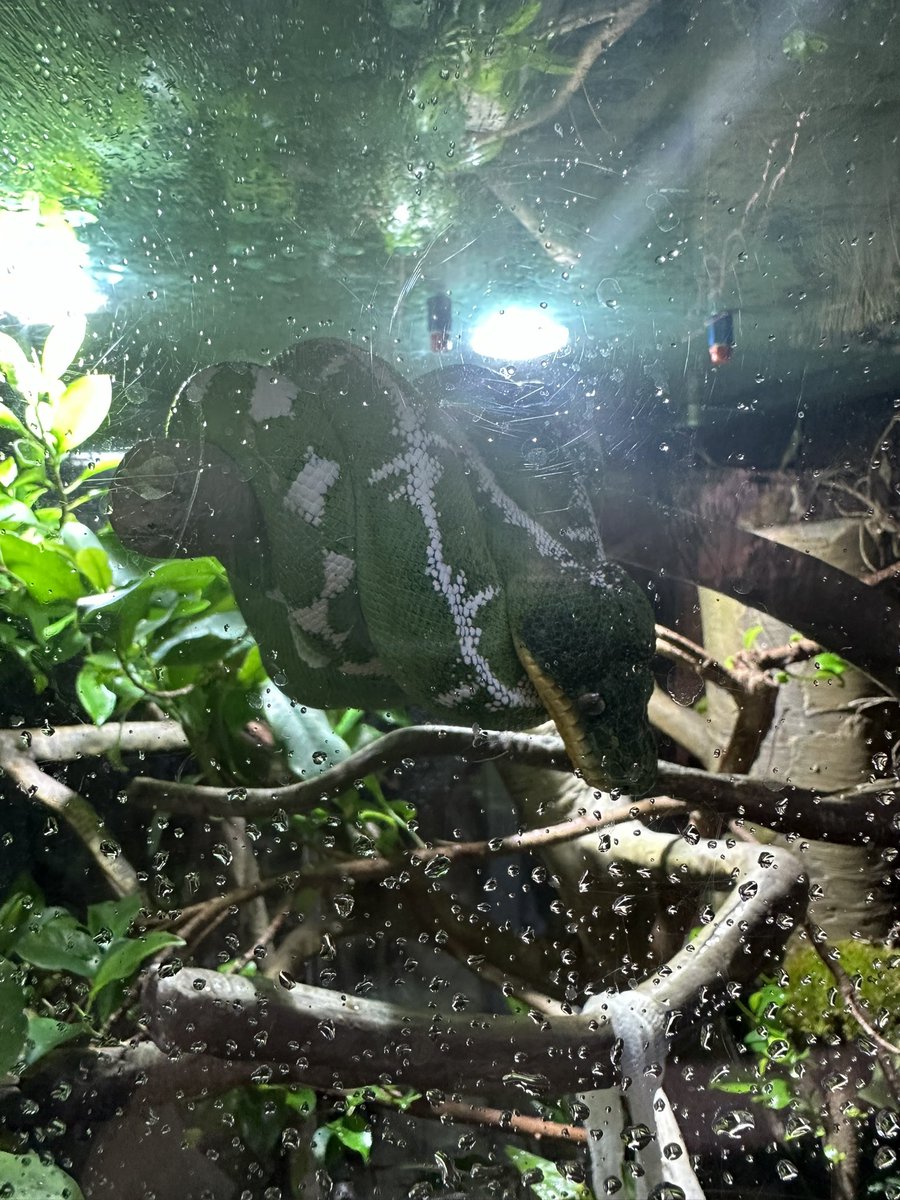 Sarah Enger tweet media