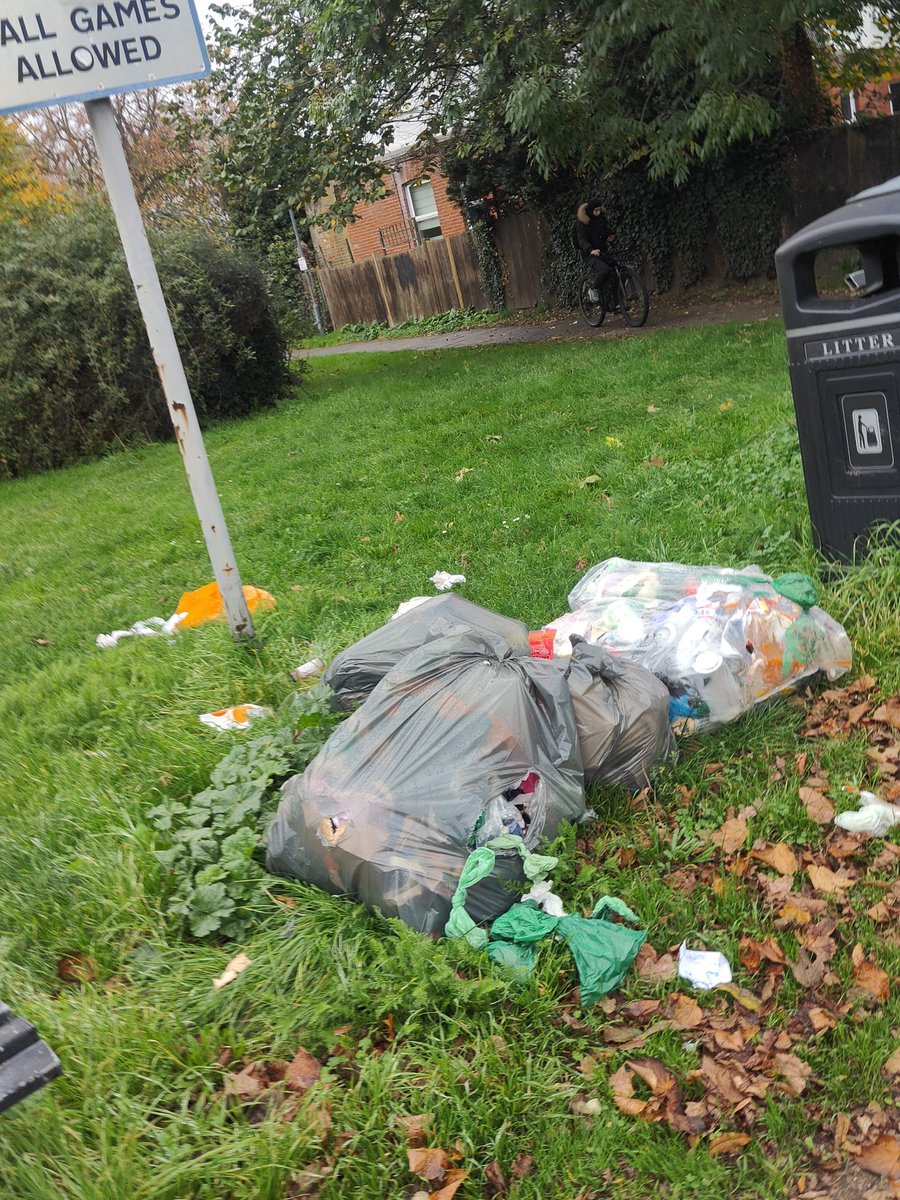 AlyPallie's tweet photo. @Royal_Greenwich horrible fly tipping on Vicarage Avenue at Shooters Hill end. SE3 https://t.co/C1bHhuVegl