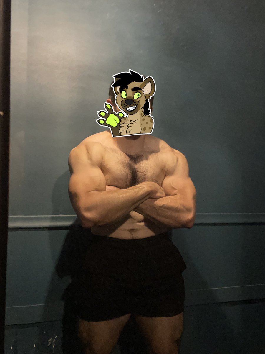 neonXguts's tweet photo. Front https://t.co/FG9mgFAyKl