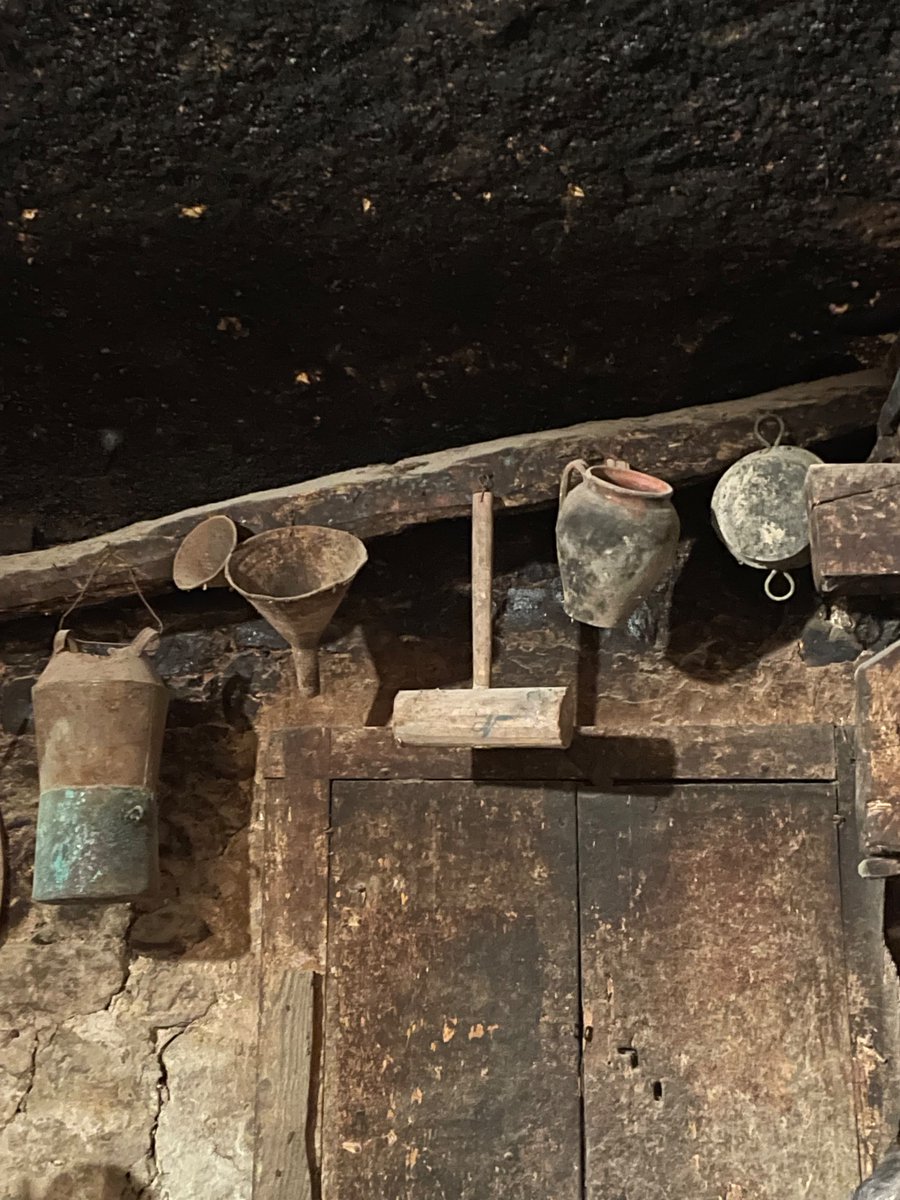 B4RTIR4 🧠 🍑 🐚 tweet media