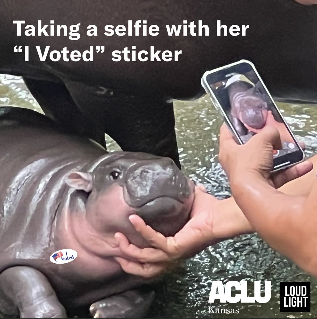 Moo Deng shows us the ideal voter